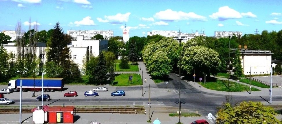 Zdjęcie z galerii